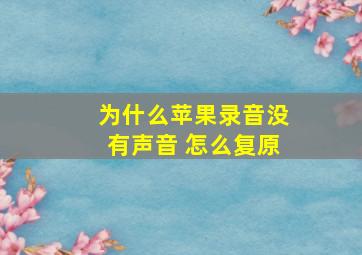 为什么苹果录音没有声音 怎么复原